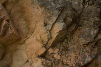 blog photo titled hyssop