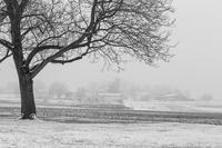 blog photo titled released