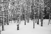 blog photo titled tenet