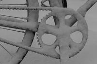 blog photo titled fixie