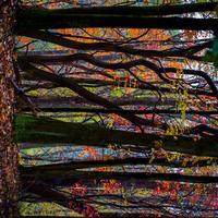 blog photo titled overwritten