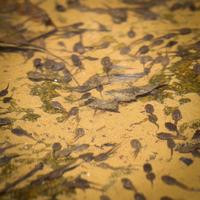 blog photo titled profligate