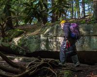 blog photo titled impress