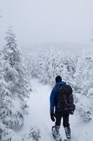 blog photo titled jettison