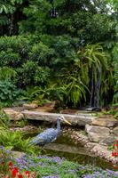 blog photo titled heron