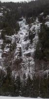 blog photo titled taller
