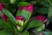 blog photo titled iliad