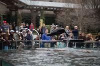 blog photo titled leaper