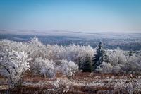 blog photo titled outlandish