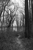 blog photo titled revisit