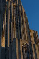 blog photo titled looming