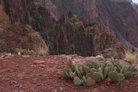 blog photo titled unappreciated