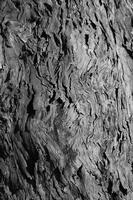 blog photo titled worries