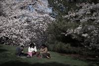 blog photo titled inseparable