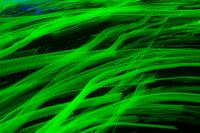 blog photo titled spedometer