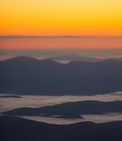 blog photo titled tangerine