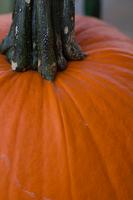 blog photo titled wasted