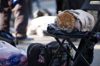 blog photo titled employment