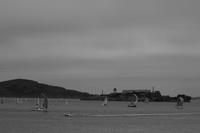 blog photo titled ellison