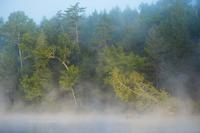 blog photo titled nictitate