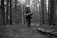 blog photo titled gearshow