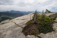 blog photo titled pins