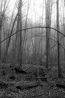 blog photo titled entrapment