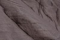 blog photo titled roll
