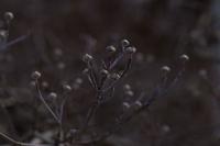 blog photo titled vision