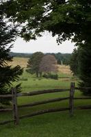 blog photo titled meadow