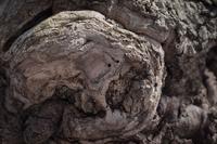 blog photo titled maven