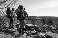 blog photo titled comparison