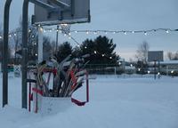 blog photo titled freebie