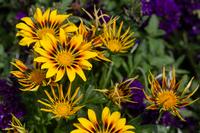 blog photo titled hail