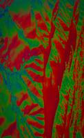 blog photo titled hierarchical