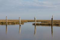 blog photo titled passersby
