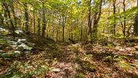 blog photo titled stubber