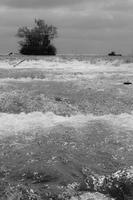 blog photo titled titling