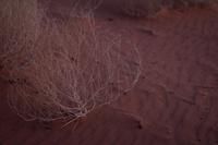 blog photo titled withdrawn