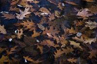 blog photo titled resin