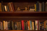 blog photo titled recapture