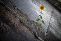 blog photo titled slippey