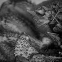 blog photo titled hidden
