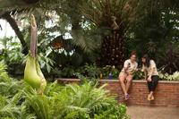 blog photo titled romero