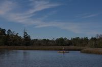 blog photo titled fisher