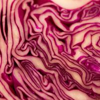 blog photo titled fermentation