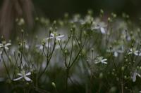 blog photo titled caps