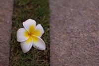 blog photo titled expat