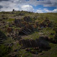 blog photo titled yearning