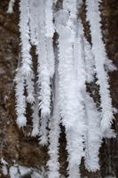 blog photo titled onslaught